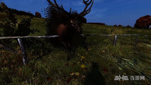 DayZ栅栏怎么拆除 栅栏拆除方法介绍