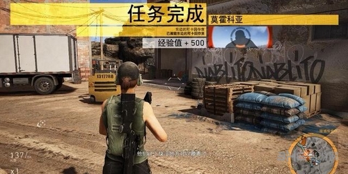 幽灵行动荒野截图7