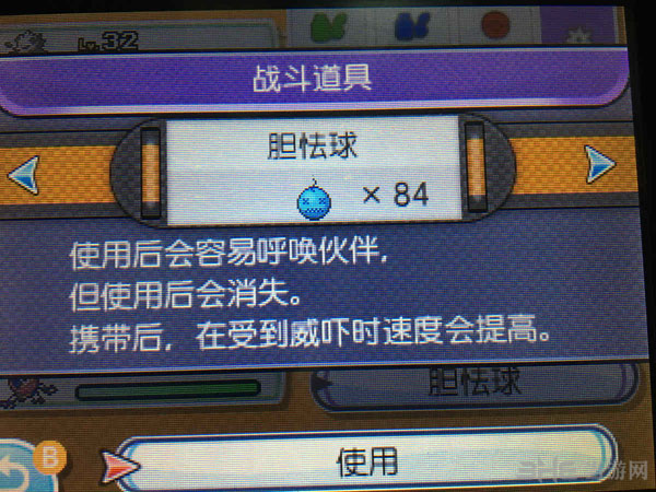 口袋妖怪日月闪光精灵截图3