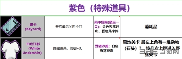 雨中冒险2道具截图12
