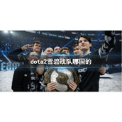 《dota2》雪碧战队所属国家介绍