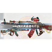 《pubg》预约奖励介绍