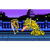 《忍者神龟格斗》无限连招演示