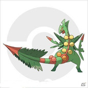 口袋妖怪红/蓝宝石重制版mega蜥蜴王资料分享