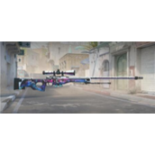 日本csgo大姐姐awp多少钱 日本csgo大姐姐awp价格表