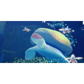 光遇海洋节2022什么时候上线-光遇海洋节2022活动介绍