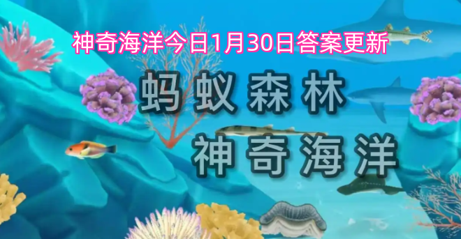 神奇海洋今日1月30日答案更新
