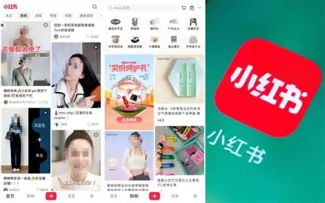 网页版小红书一键直达-网页版小红书免APP极速浏览